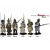 Napoleon's Middle Imperial Guard